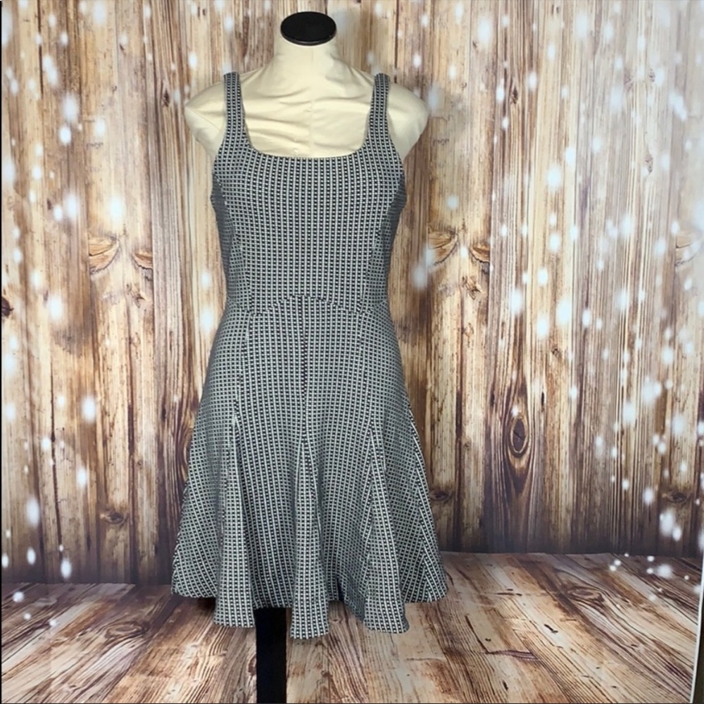 Anthropologie Bordeaux skater dress